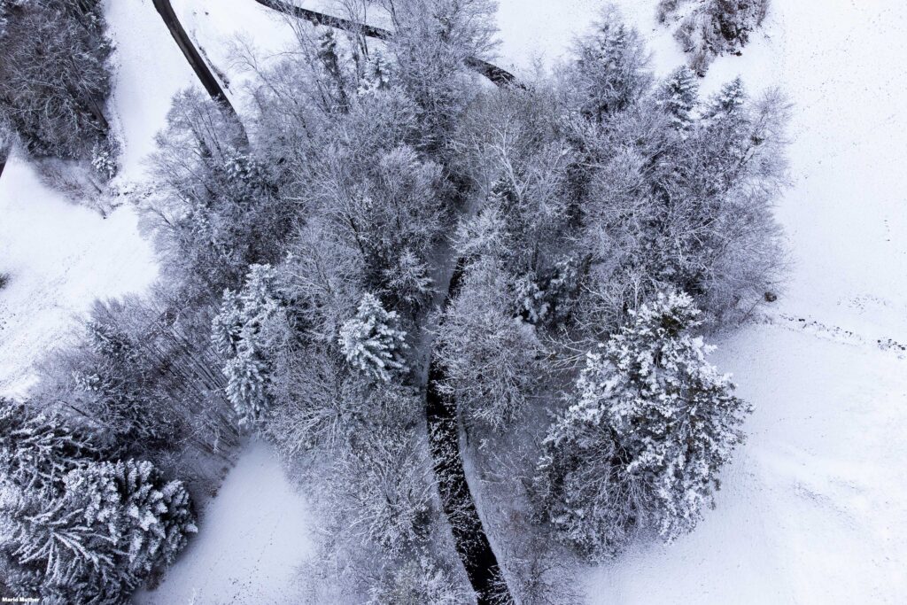 Die Drohnenfotografie fängt den Winterzauber im Wald von Attinghausen, Kanton Uri, ein. Das Bild zeigt eine verschneite Waldlandschaft, in der die Bäume mit einer weissen Decke aus Schnee bedeckt sind.